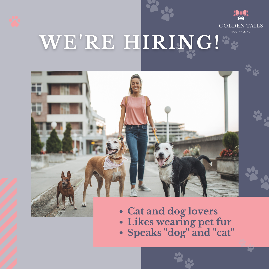 How Are Dog Walkers Paid