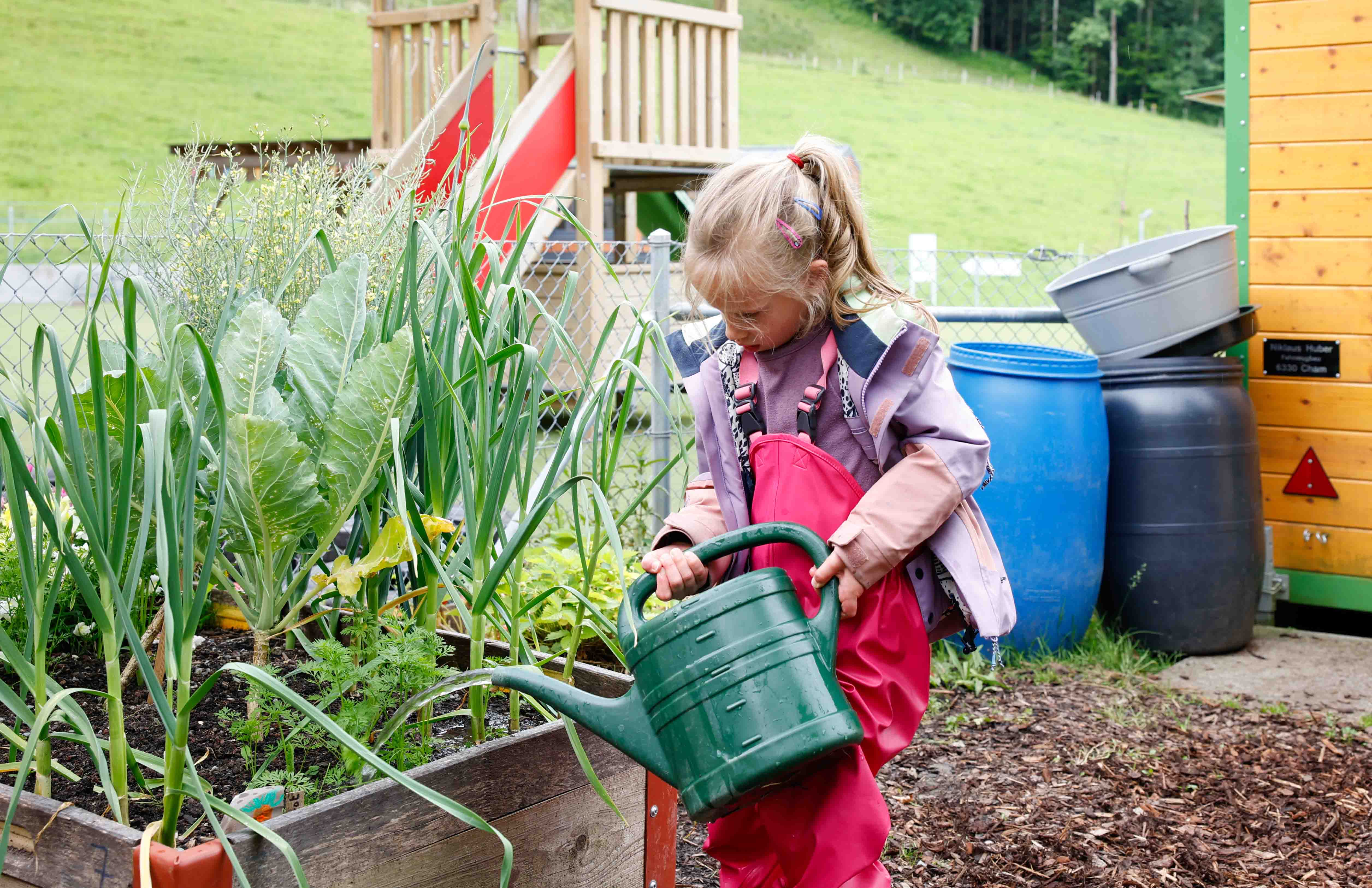 Student watering plants in the school garden